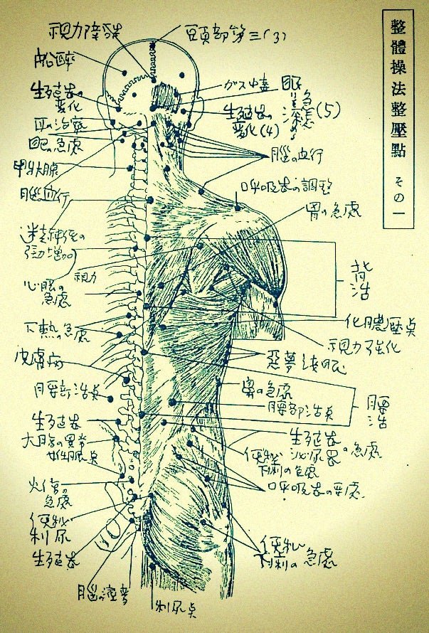 門外不出】身体均整法のヤバい奥義書をこっそりチラ見せさせていただき