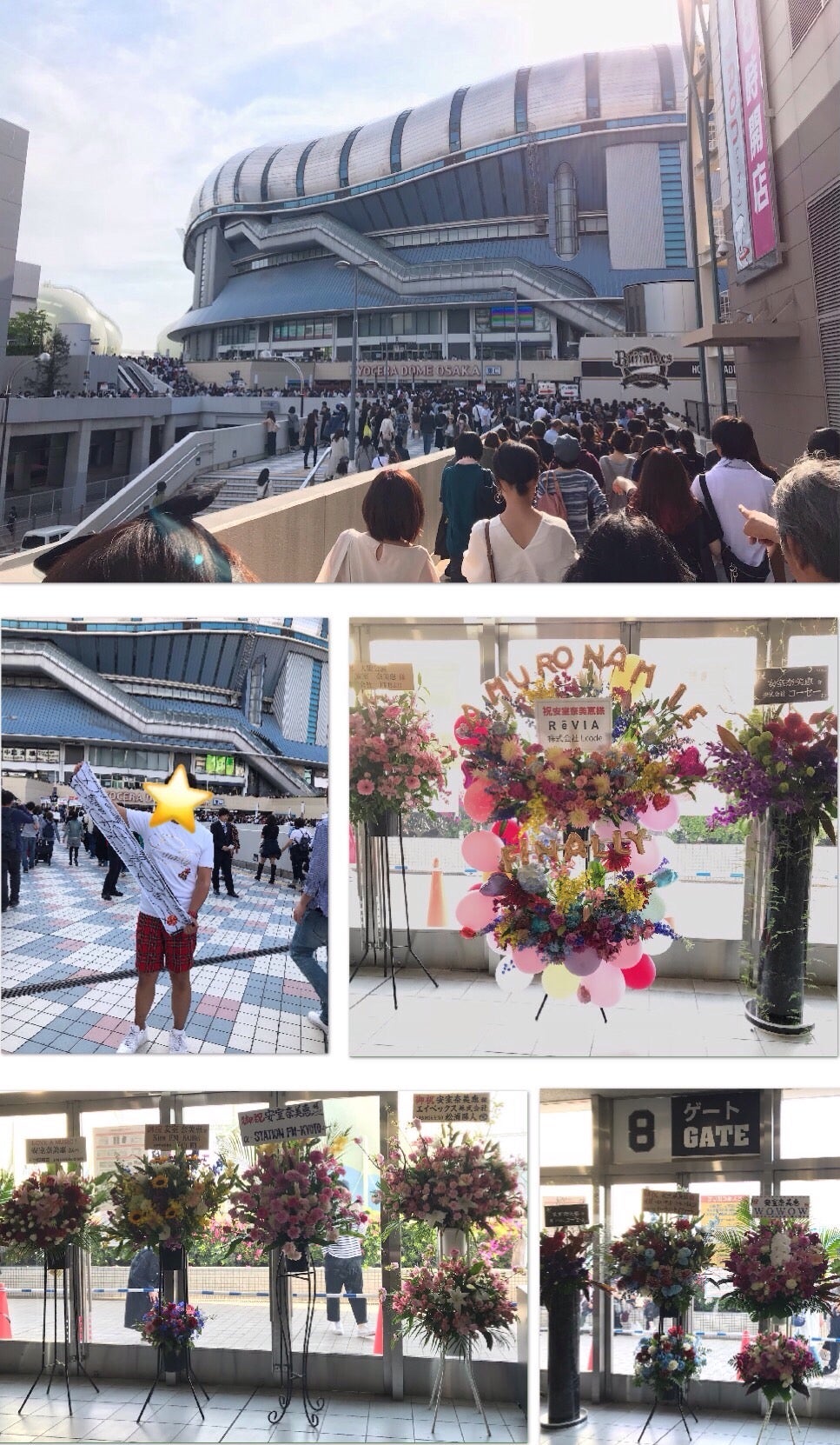 安室奈美恵 Finally 京セラドーム ① | チョコとノワ・・・愛犬チワワ