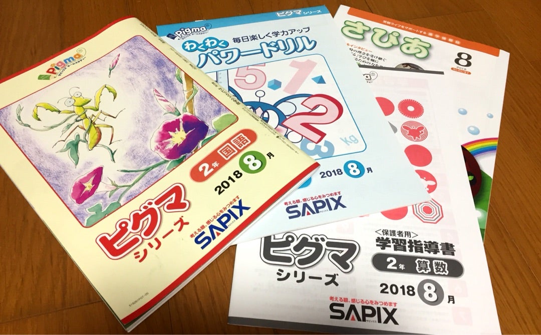 未記入】ピグマキッズ 2年生 1年分セット 2022年4月-2023年3月 未