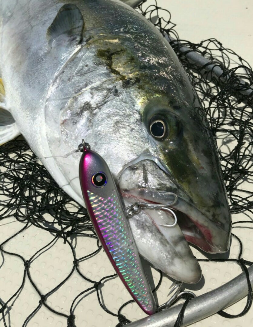 パドルベイト「b」 | ローカルスタンダードのブログ