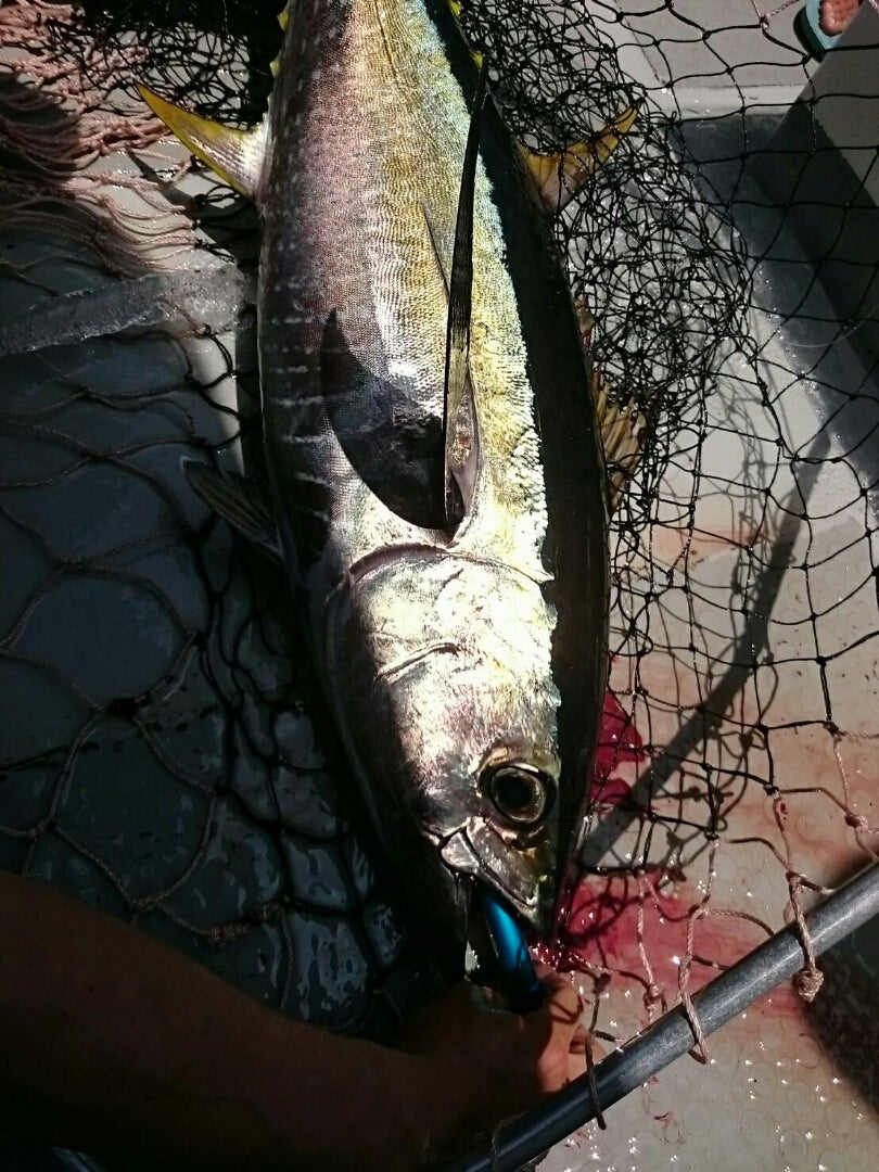 ダイブベイト140 セッティング | ローカルスタンダードのブログ