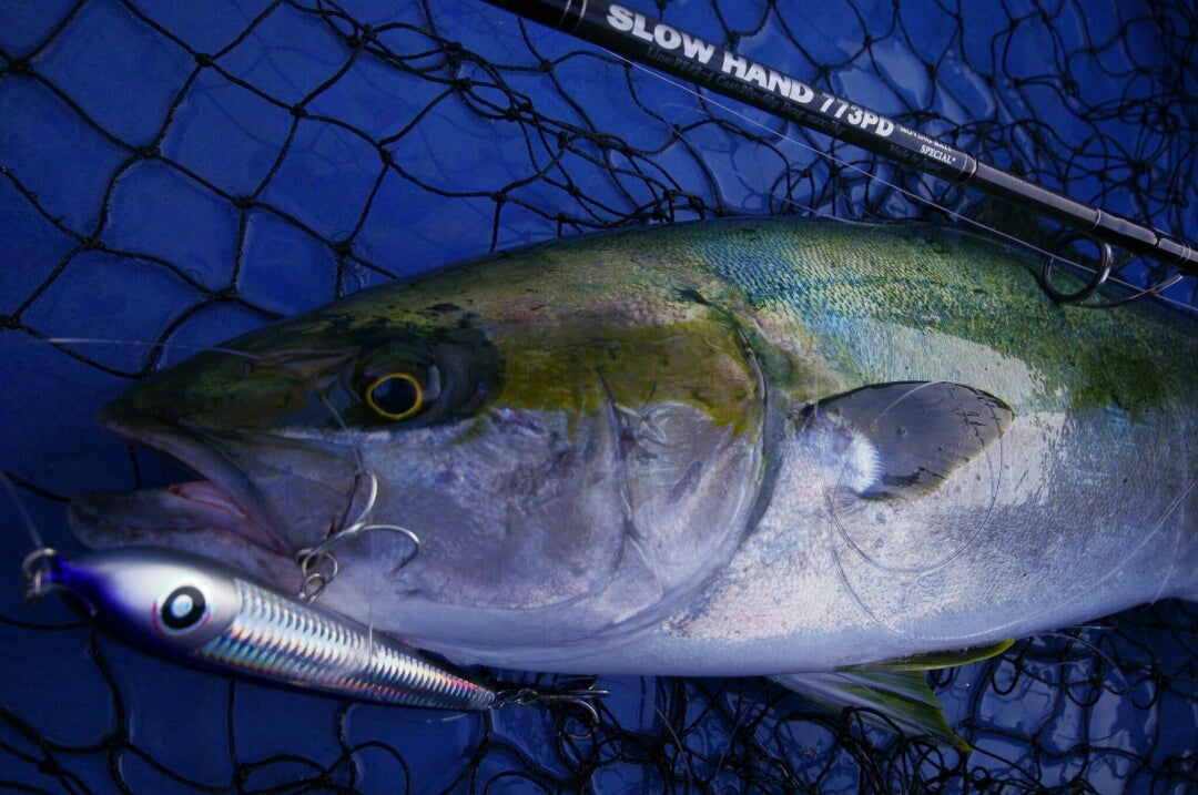 ダイブベイト140 セッティング | ローカルスタンダードのブログ