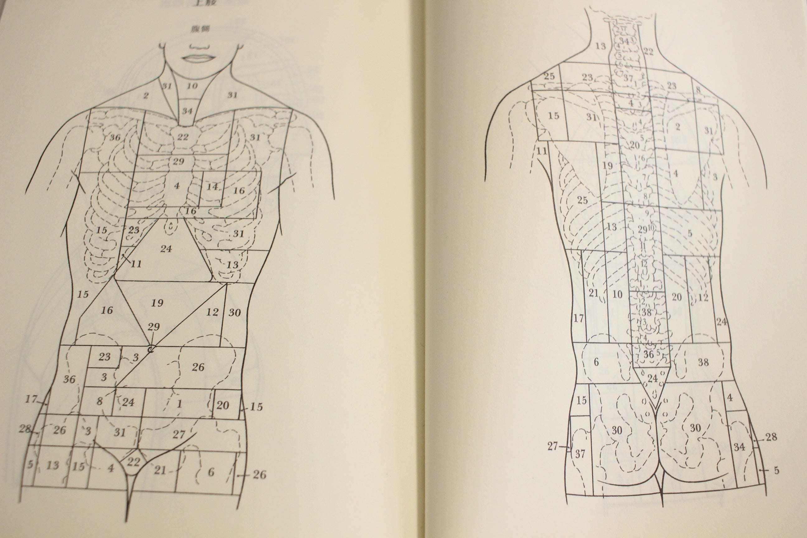 肩こりや、ほくろの位置やら。 | 草月流いけばな教室・バッチ