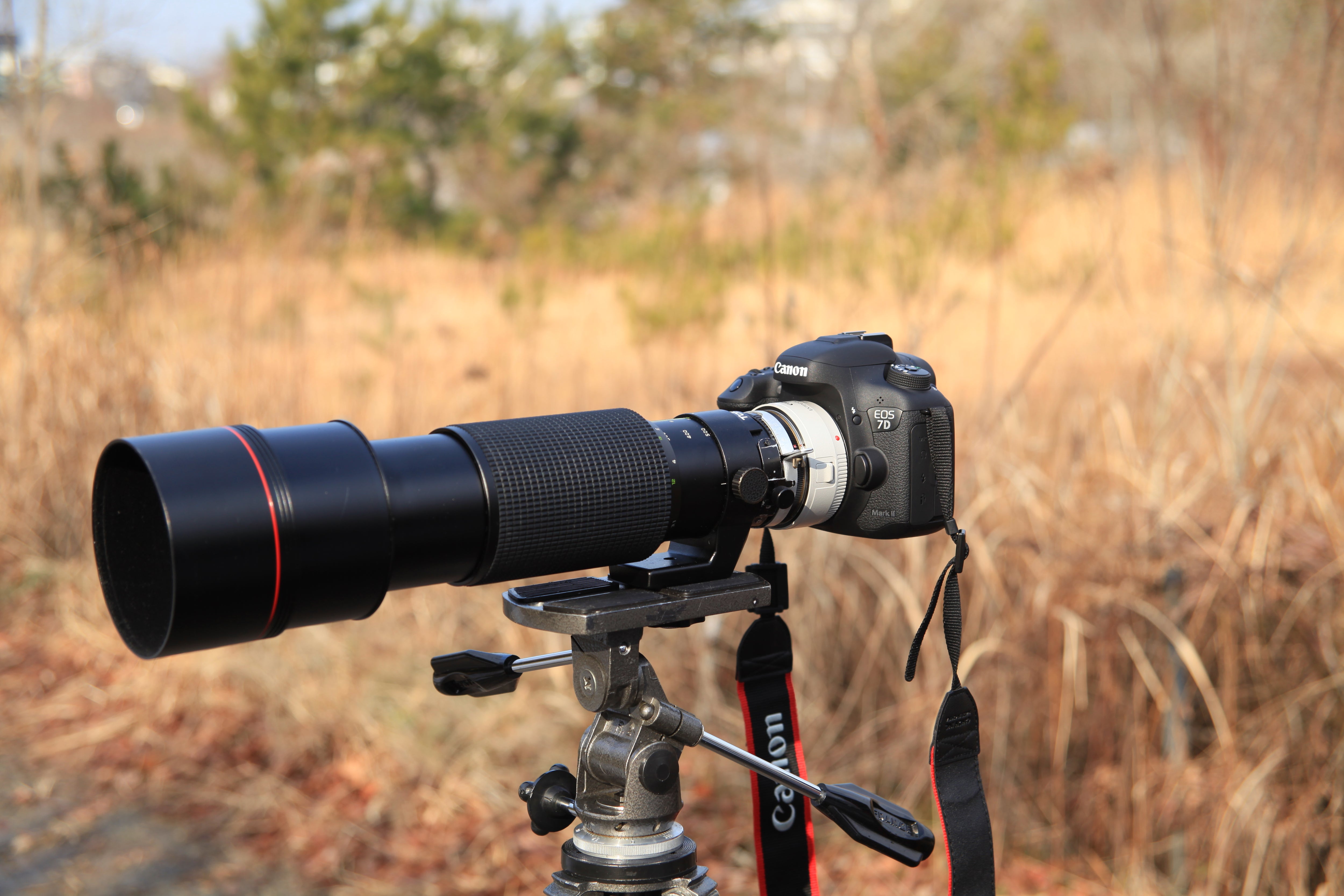 TOKINA AT-X 150-500mm F5.6（マニュアルフォーカス） + EF1.4xⅢ