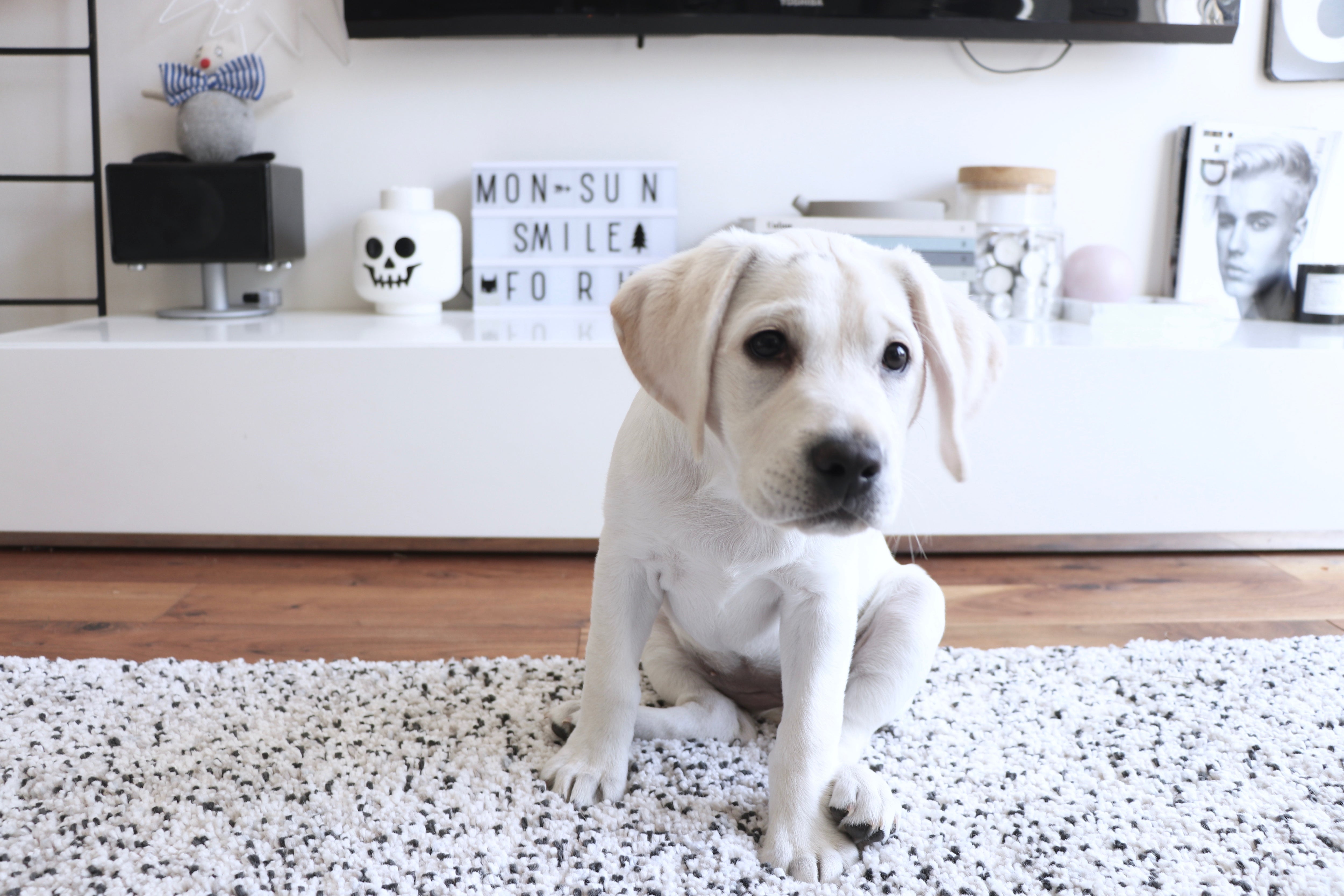 ikea vindum ラグ 廃盤 ヴィンドゥム シャギーラグ, ホワイト ikea