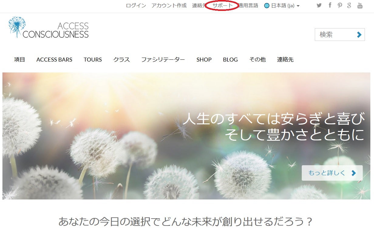 アクセスコンシャスネス本部のサイトへは、日本語で問い合わせることが