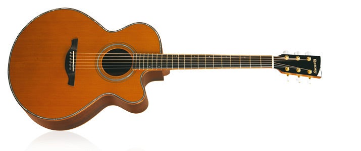 おいらと音楽「アコギ編」⑮ プレゼントしたギター「History」の