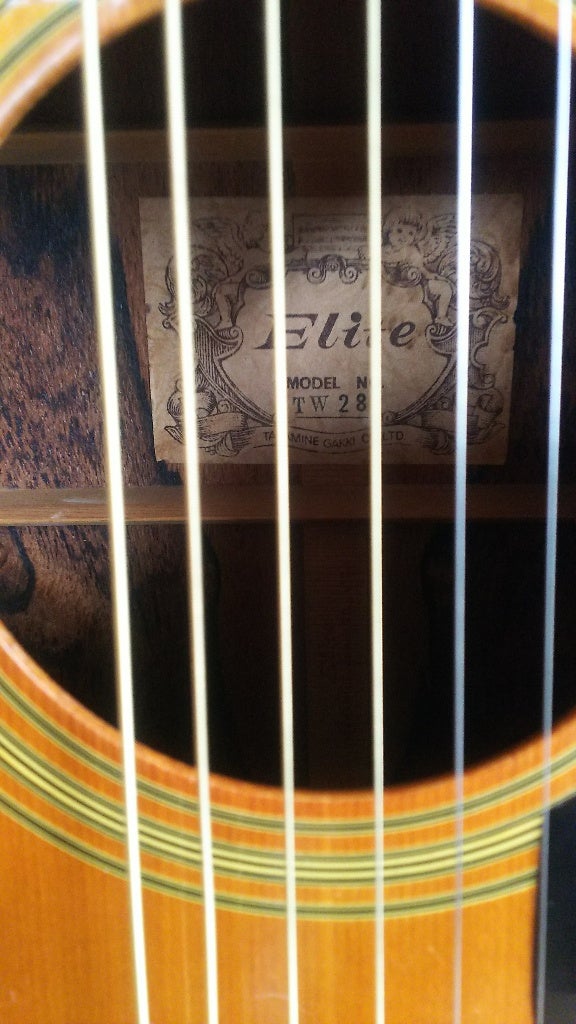 Takamine Elite TW-13 タカミネ エリートD-28 コピー Takamine Elite