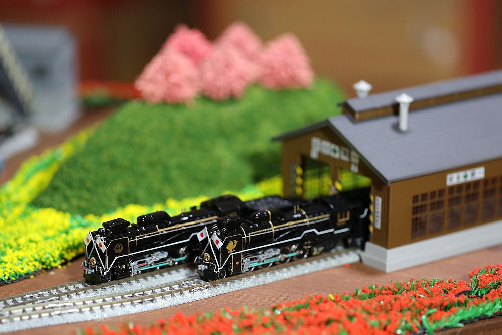 鉄道模型】D51-838お召し列車CRWを走行 | cavacho☆彡“きゃばちょこ”です。