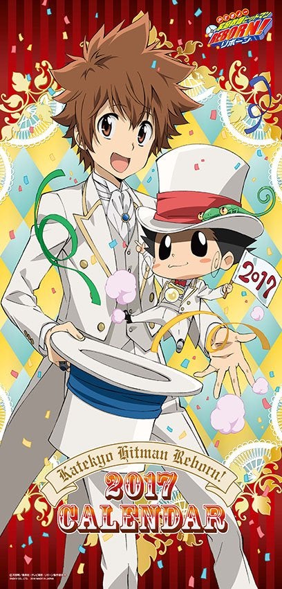 2017 家庭教師ヒットマンREBORN ツナ 沢田綱吉 リボーン カレンダー