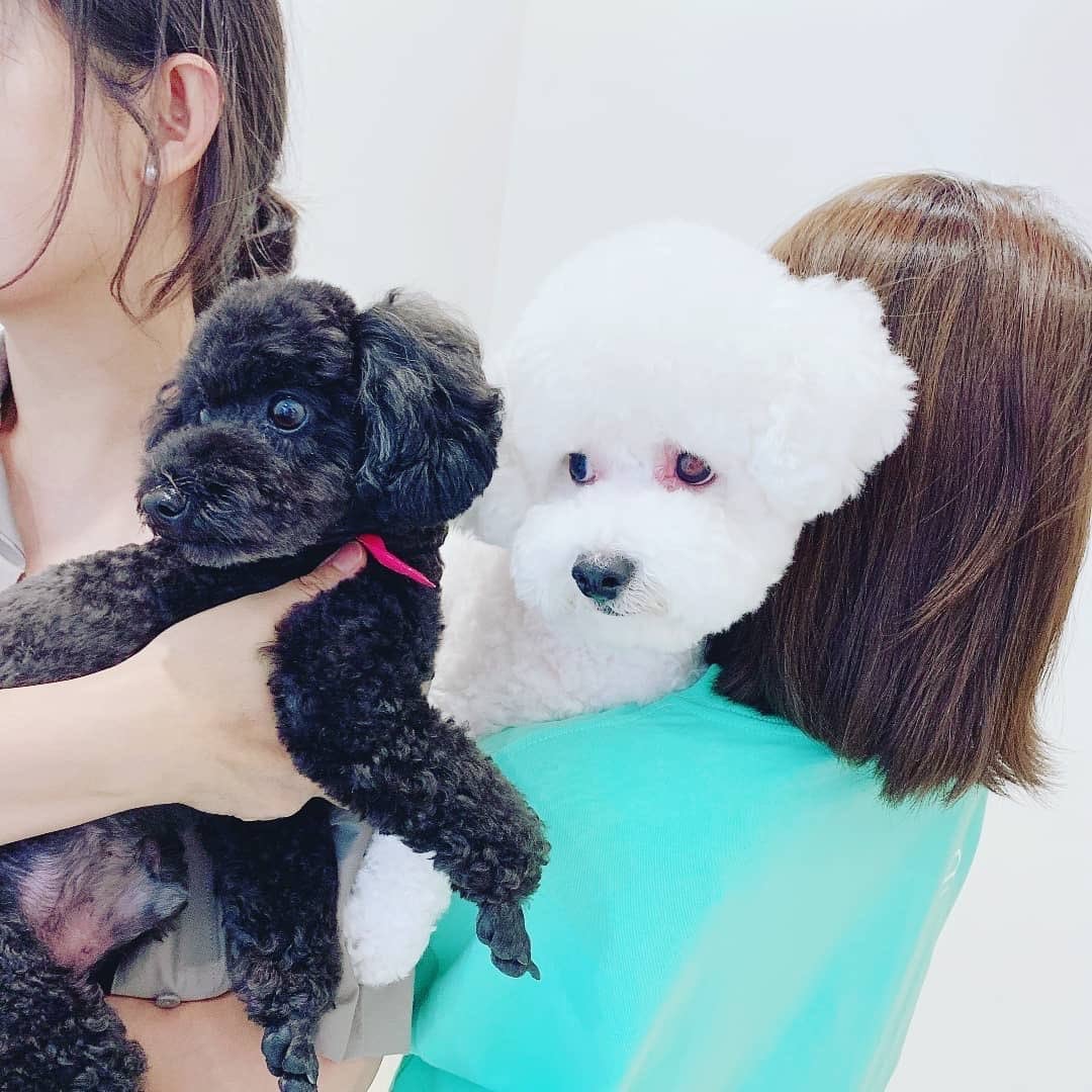 EXO トベン＆チャニョルインスタまとめて | EXOからッ月ノ手アソビ