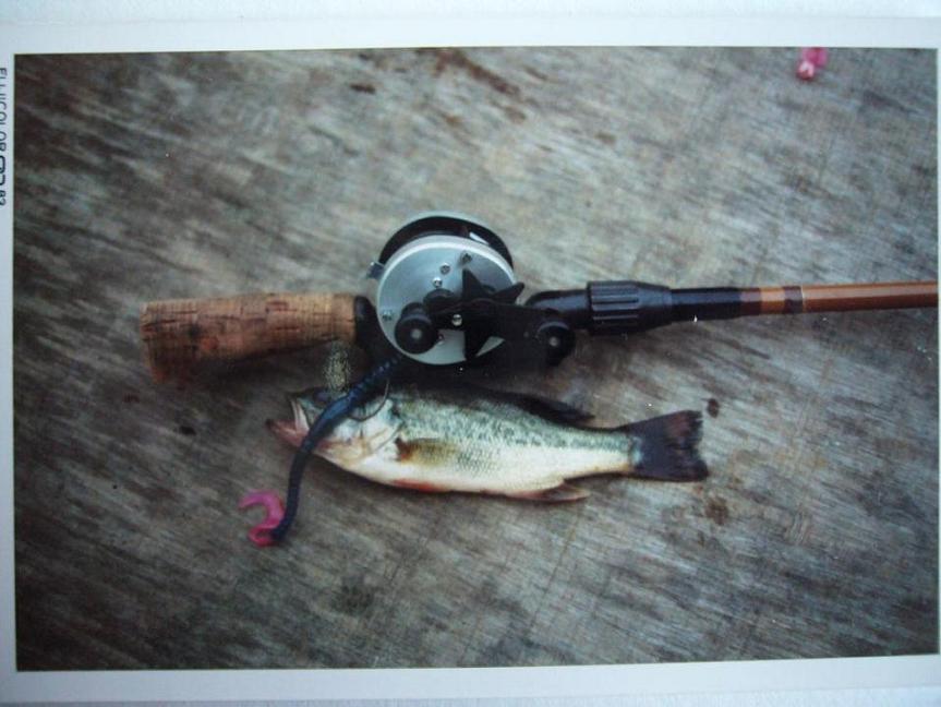 スーパーストライカーFL59 リリーパッドハスキー | husky59のブログ