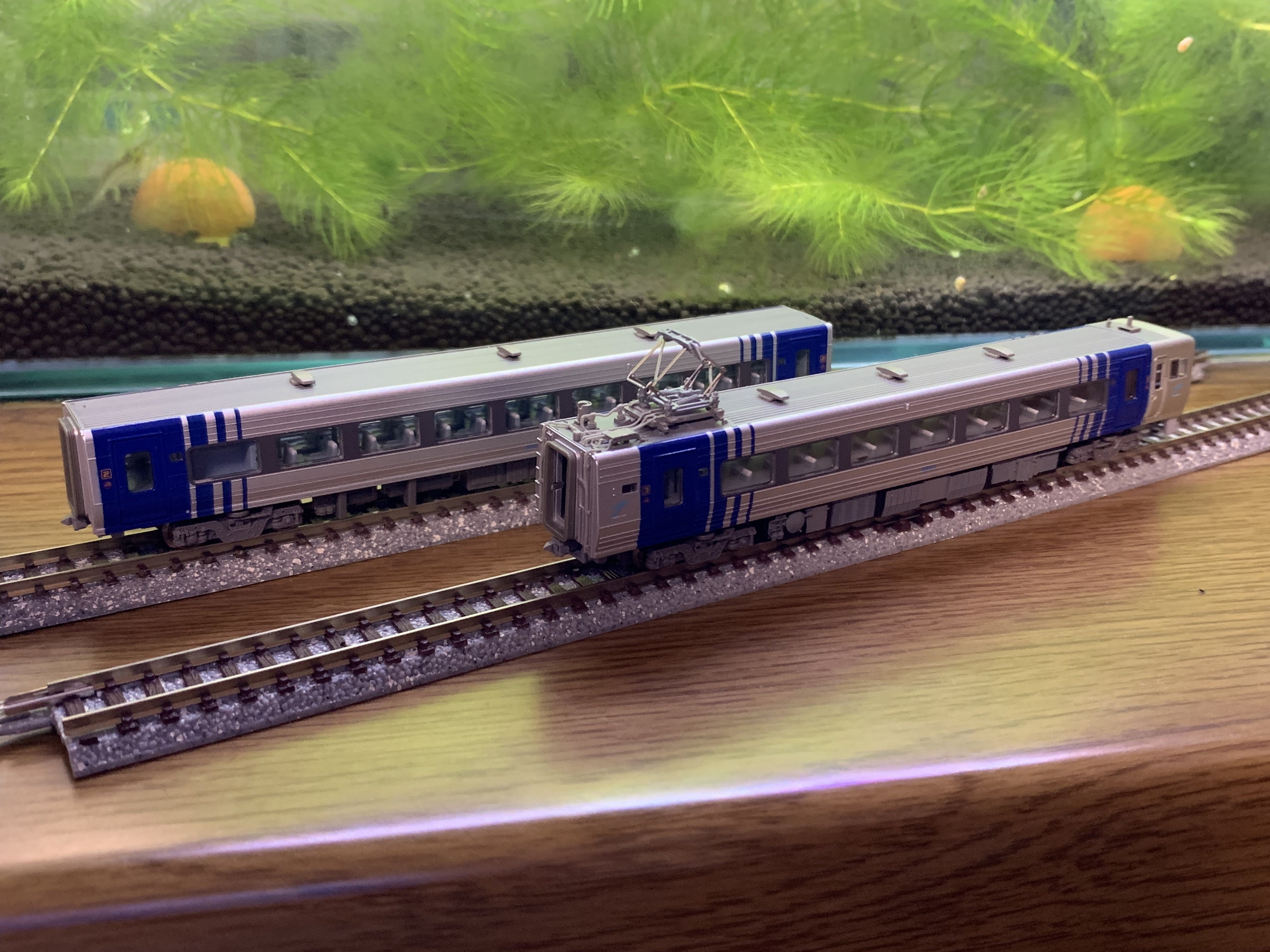 鉄道模型】 コレクション(36) JR四国8000系 『しおかぜ・いしづち