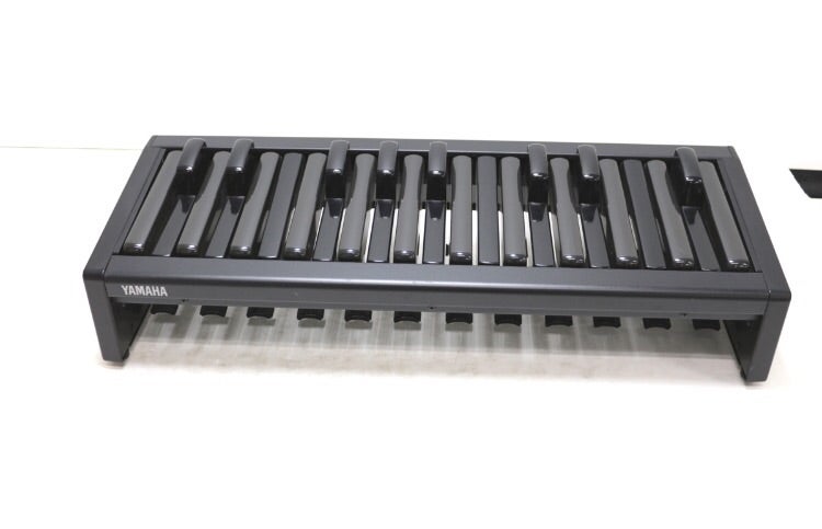 エレクトーン補助ペダル購入しました♬ | 堺市東区 初芝〜楽しみながら