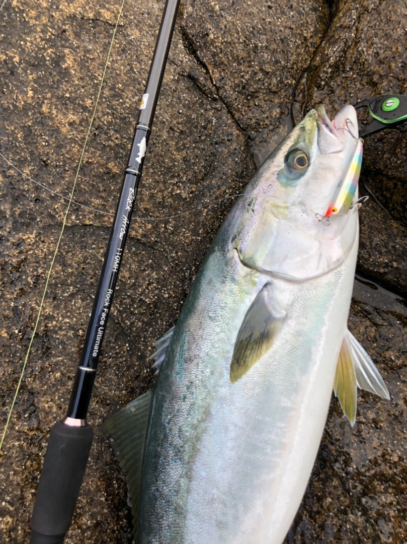 エイムス ブラックアロー110MH RockFaceUltimate エイムス ブラック