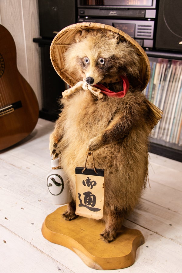 秀ちゃん タヌキ剥製 木製台座付き タヌキの剥製 木製台座付き たぬき