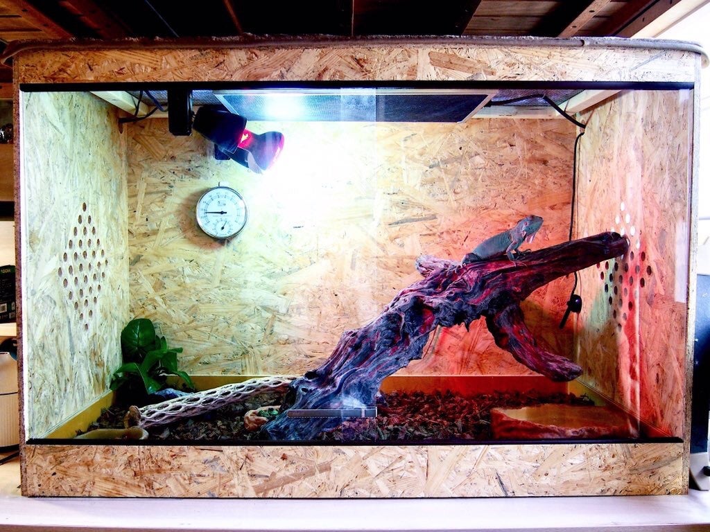 お客様ケージレイアウト紹介③ | POPCORN LELE（ポップコーンレレ）ブログ