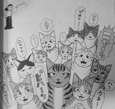 セツコ・山田/セツコ・山田の猫三昧 | Sinn本館