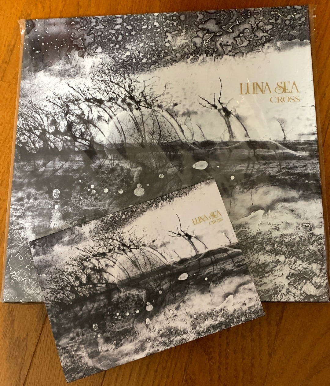LUNA SEA『CROSS』 | 日々のこと
