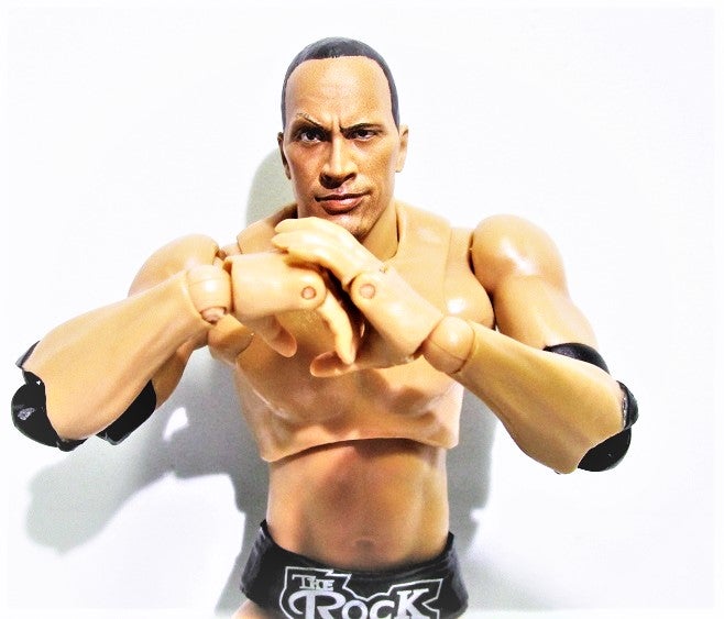 公式限定 the rock フィギュア WWE ドウェイン・ジョンソン プロレス