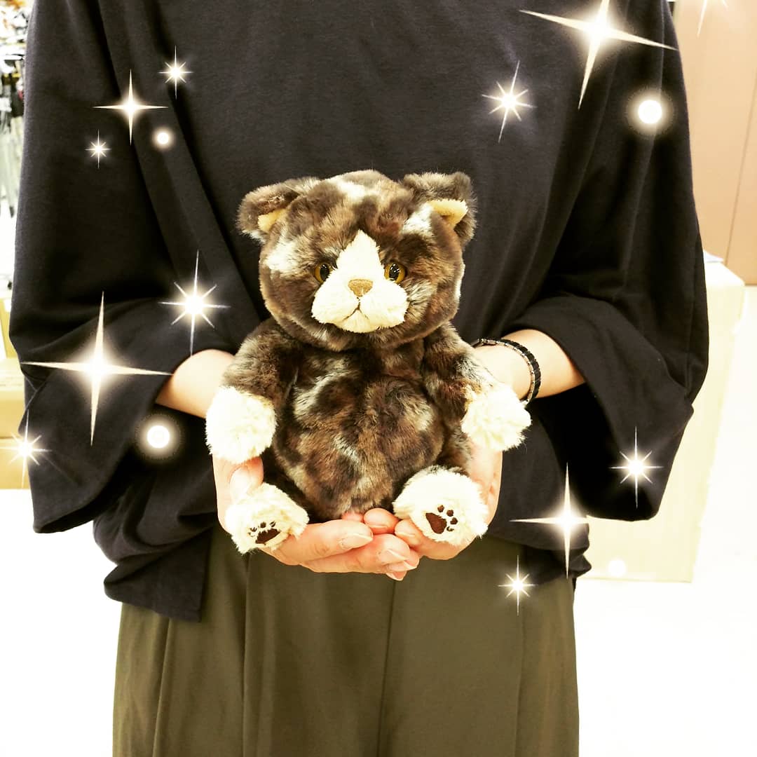 ひざねこおすわりキッズ！新登場 | 鎌倉ねこサロンのブログ