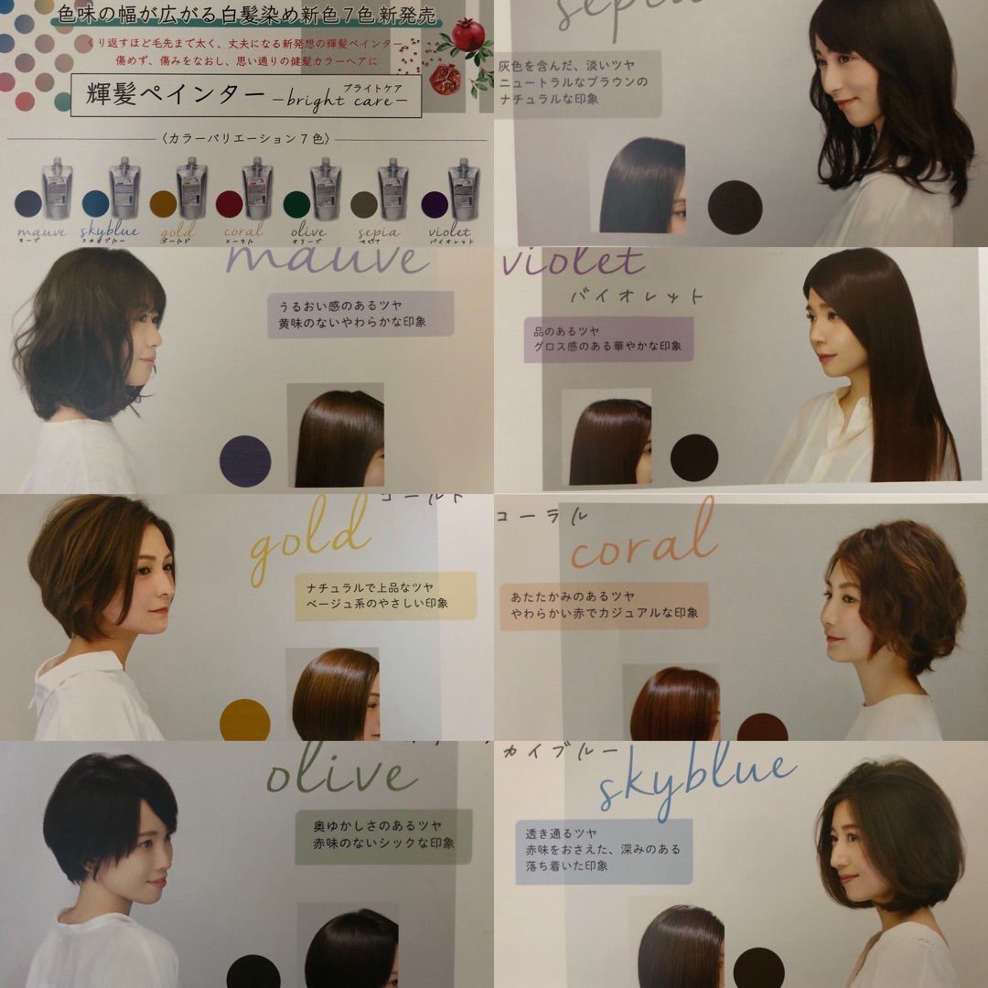 美空間 ザクロペインター ブラウン ⁄ 輝髪ザクロペインター A240