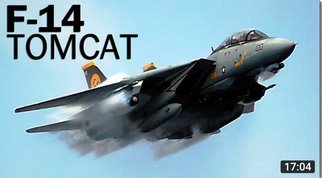 F-14 戦闘機 フライトタグキーホルダー アメリカ海軍 飛行機 米海軍