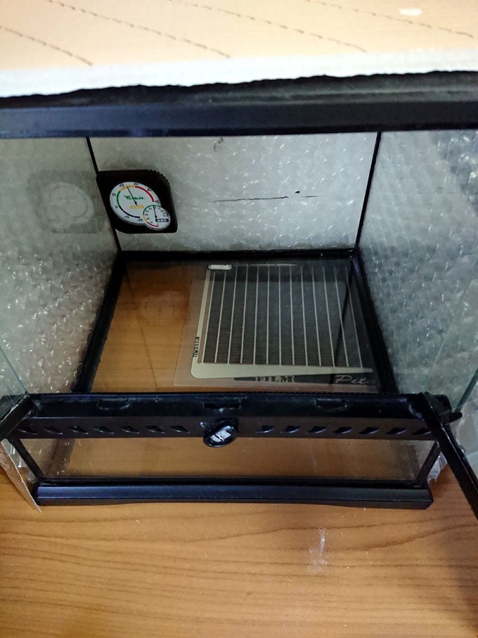 ガーゴイルゲッコー】飼育環境立ち上げと暖突の設置 | 爬虫類ブレイク