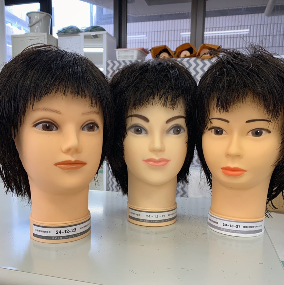 国家試験用 三矢 24-12-13 カットウィッグ4個セット カットウィッグ