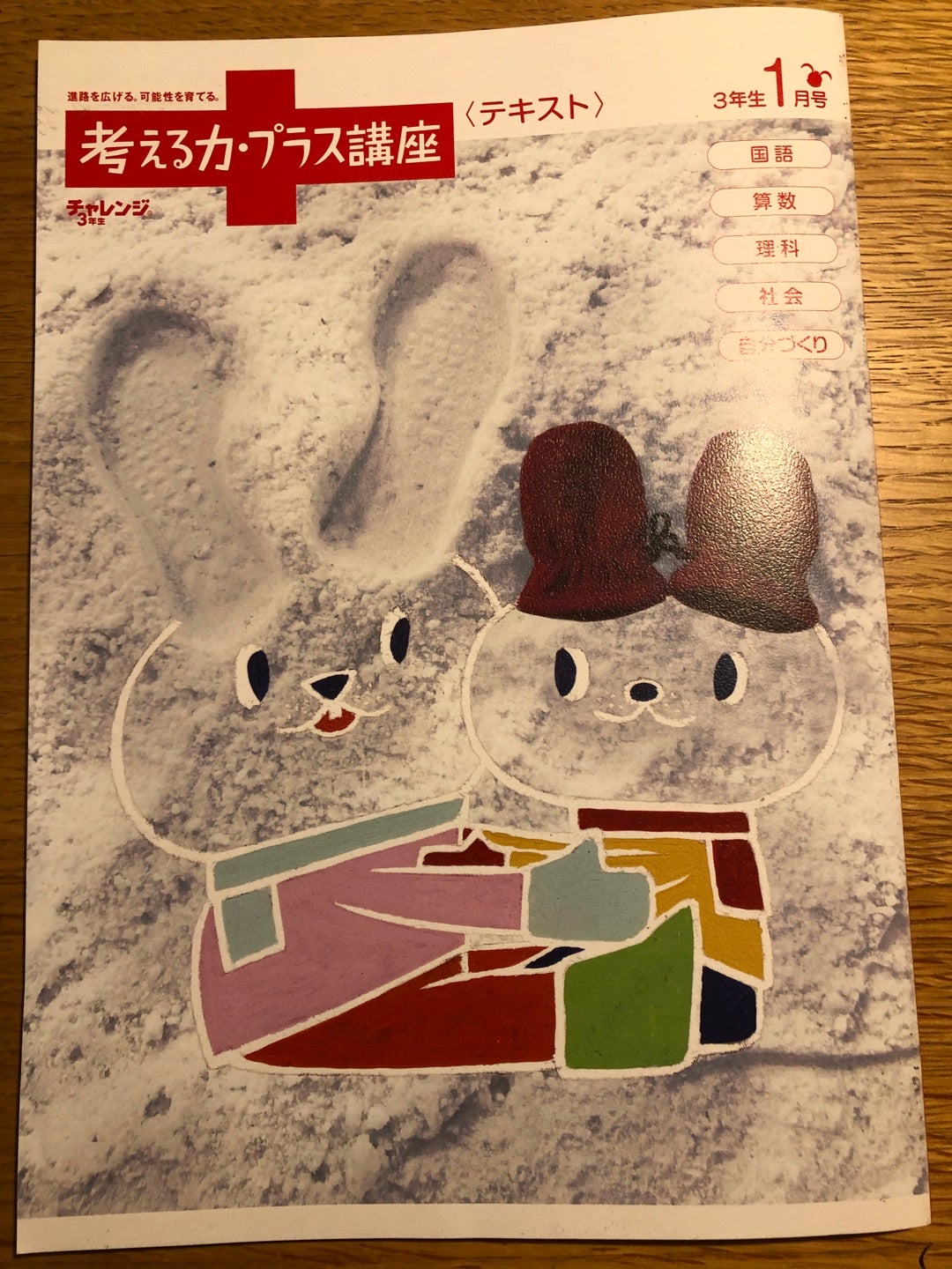 進研ゼミ 考える力プラス | アラフォーjunkoのブログ