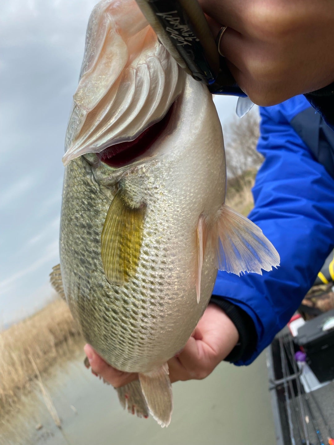 DRT/タイニークラッシュLo弊店別注カラー「AGスメルト」販売について