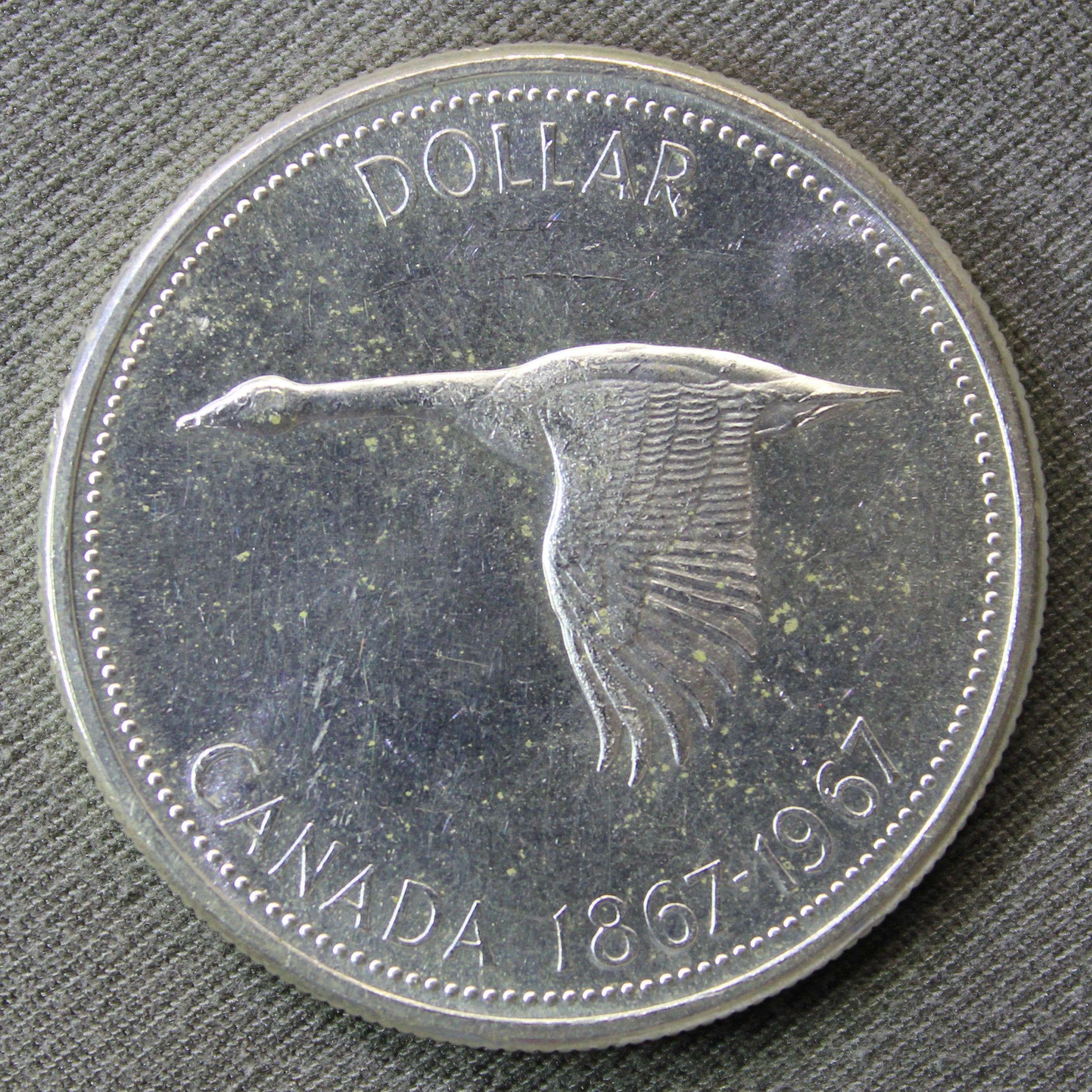 カナダ カナダガン1ドル銀貨 エリザベスⅡ 1967年 | stoneのブログ