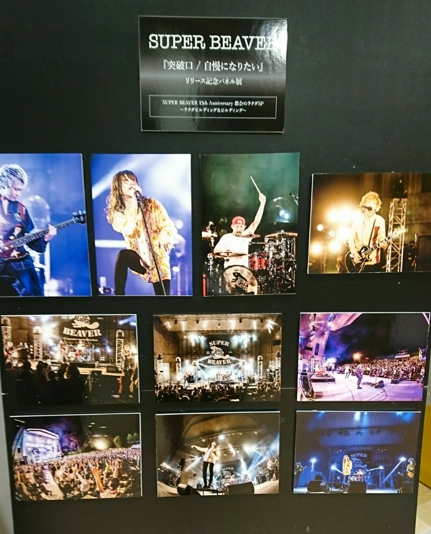 SUPER BEAVER パネル SUPER BEAVER パネル super beaver パネル