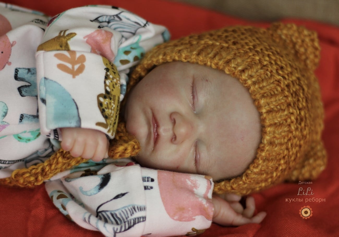 シャルロットちゃん Charlotte by LAURA LEE EAGLES 48㎝ ELN