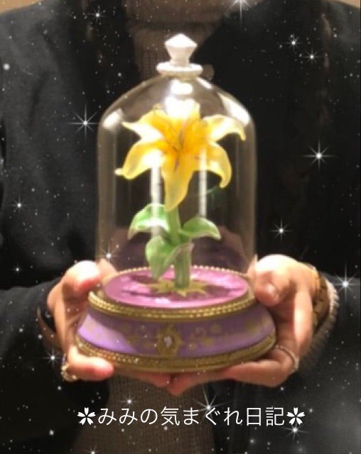 超速報！！ディズニーストア渋谷店♡ラプンツェル先行販売 | ♡みみの