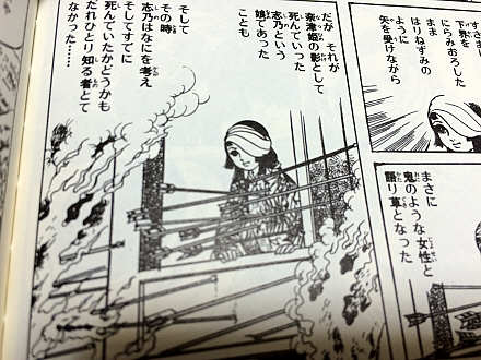 仮面、その内なるもの。そして、「影姫」 | ウルトラ馬鹿一代～そこに