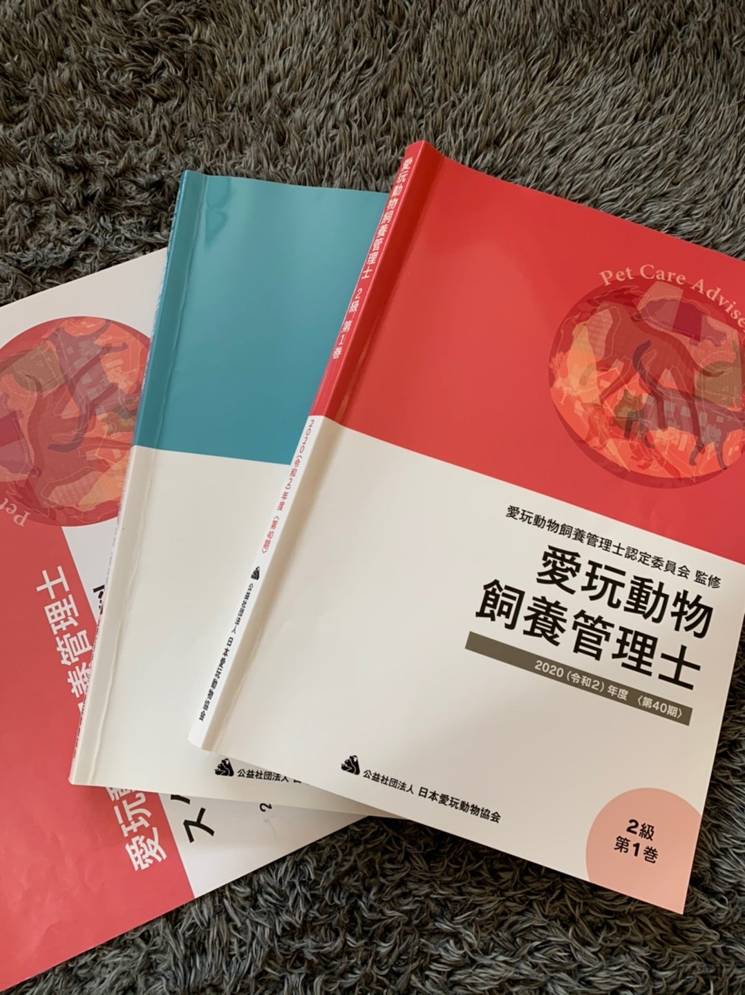 私が実践した勉強法 | ニャンコとの日々ブログ