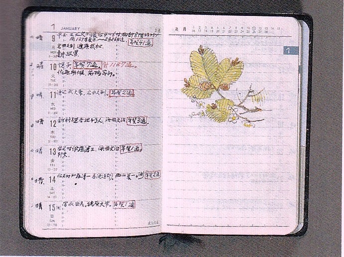 希少】図案日誌 松田権六 希少】図案日誌 松田権六 松田権六作品集