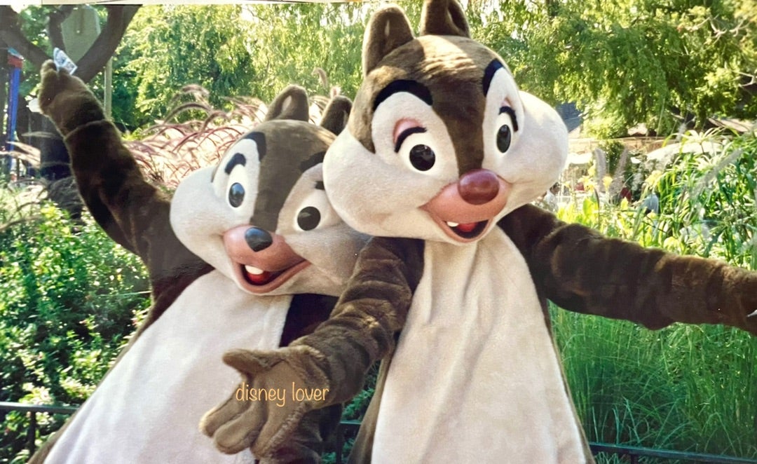 チップ＆デール☆おめでとう〜♡ | Disneyチップとデール lover♡ʾʾ