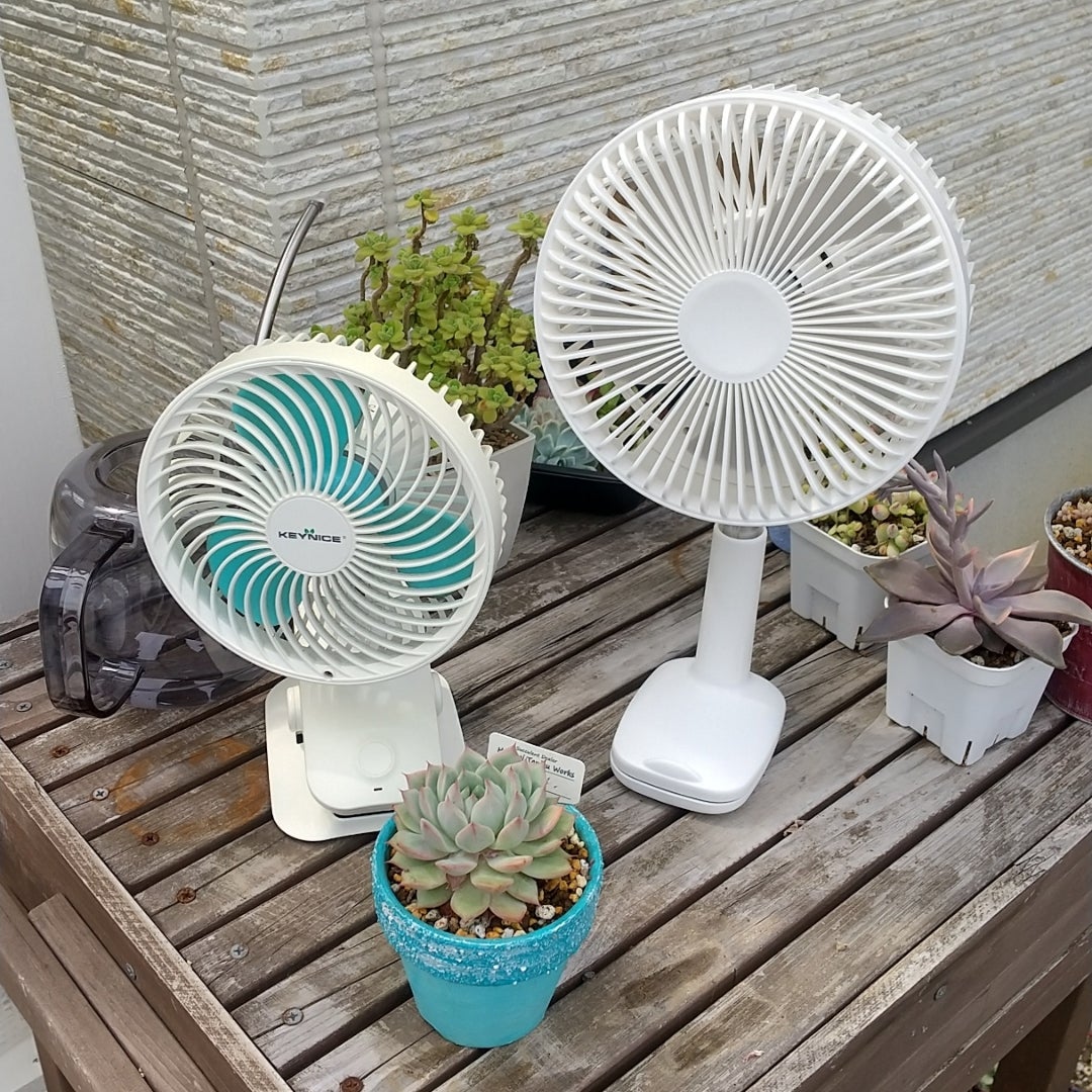 ミニ扇風機が届いたので使ってみた！ | 多肉に、ほんろう。