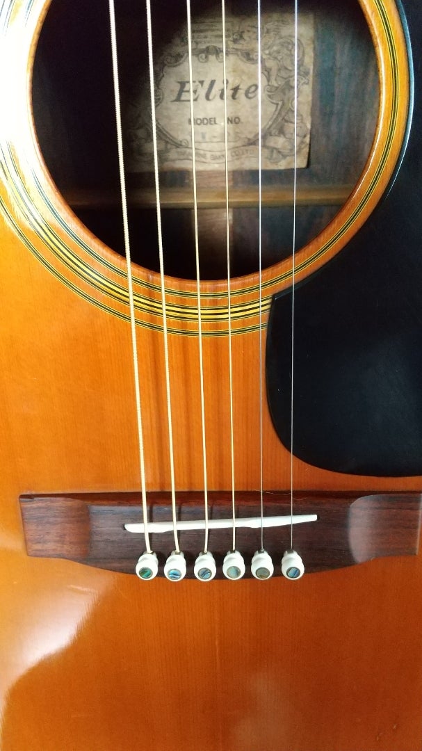 Takamine Elite TW-25イレギュラーハカランダ完成 | ゆずマンのギター