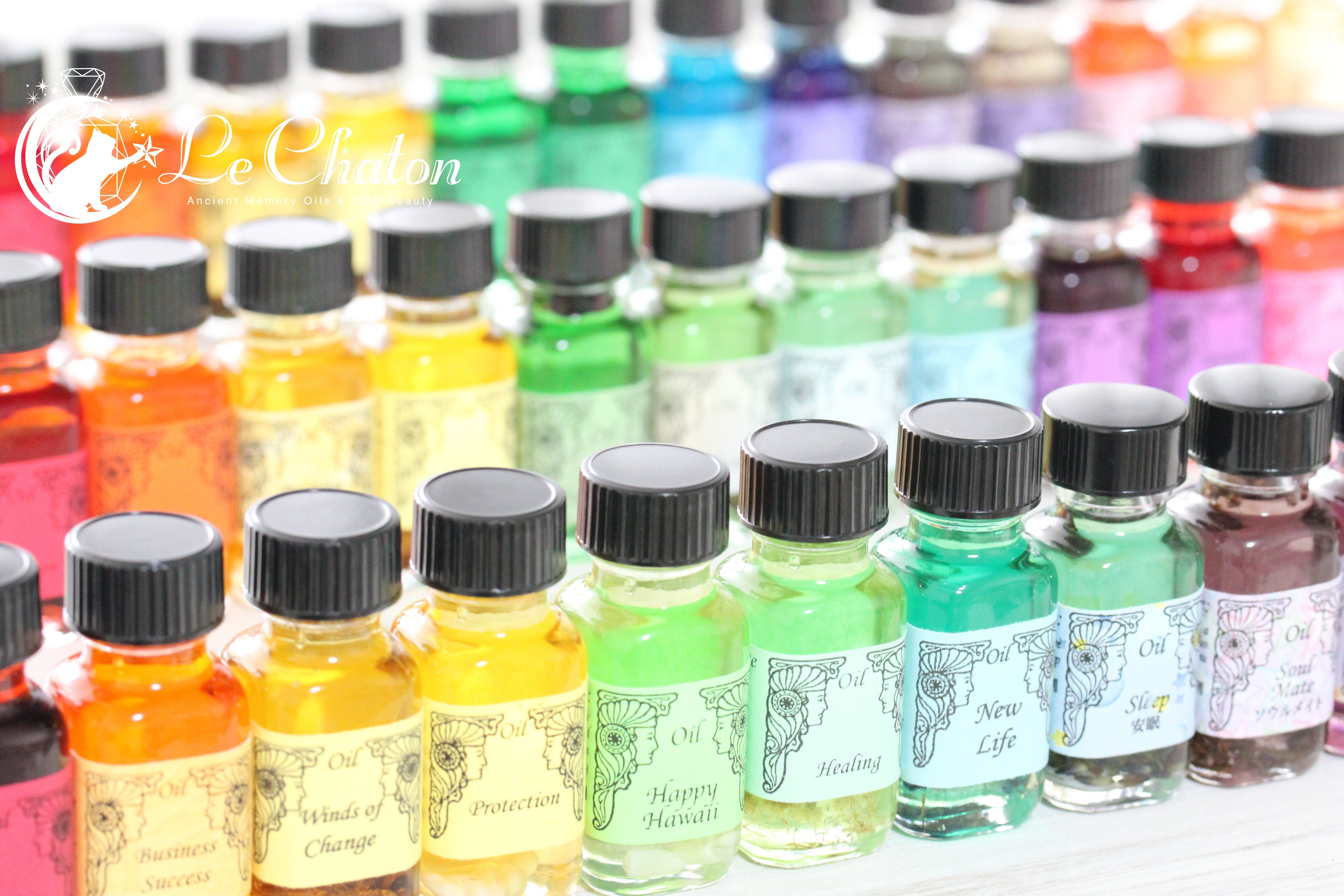 好評発売中！】たくさんの種類を楽しめる！ アンシェントメモリー