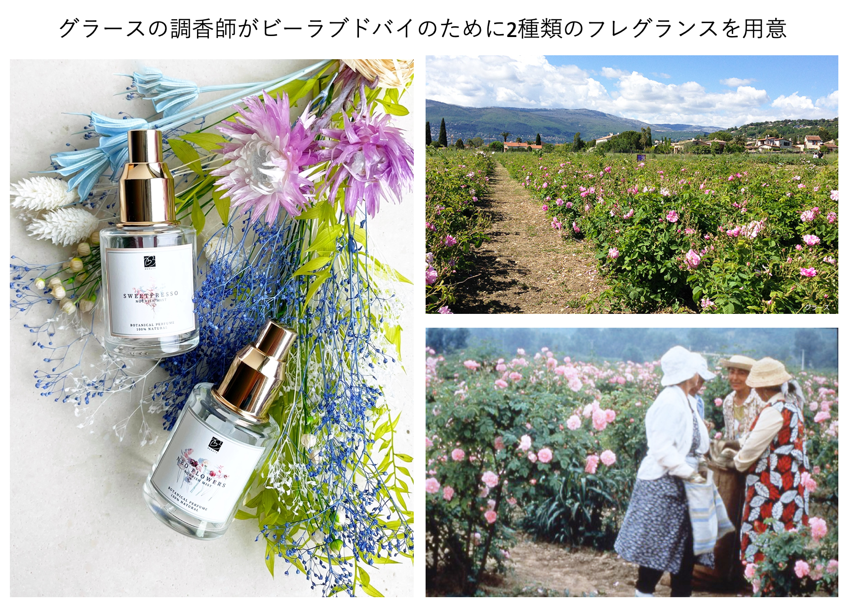 まるでそれは魔法のようなエステティックオイル リッドオイル | 大阪