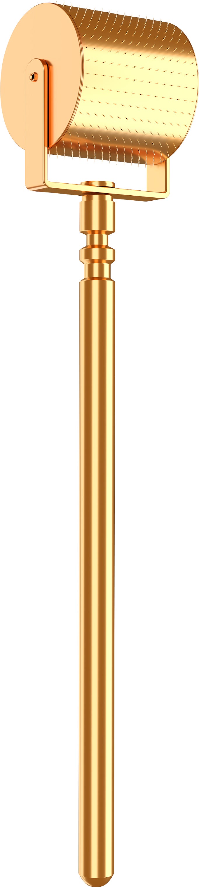 ゴールドロールキットの感想 | 京都北山 40代から毛穴レス エンビロン