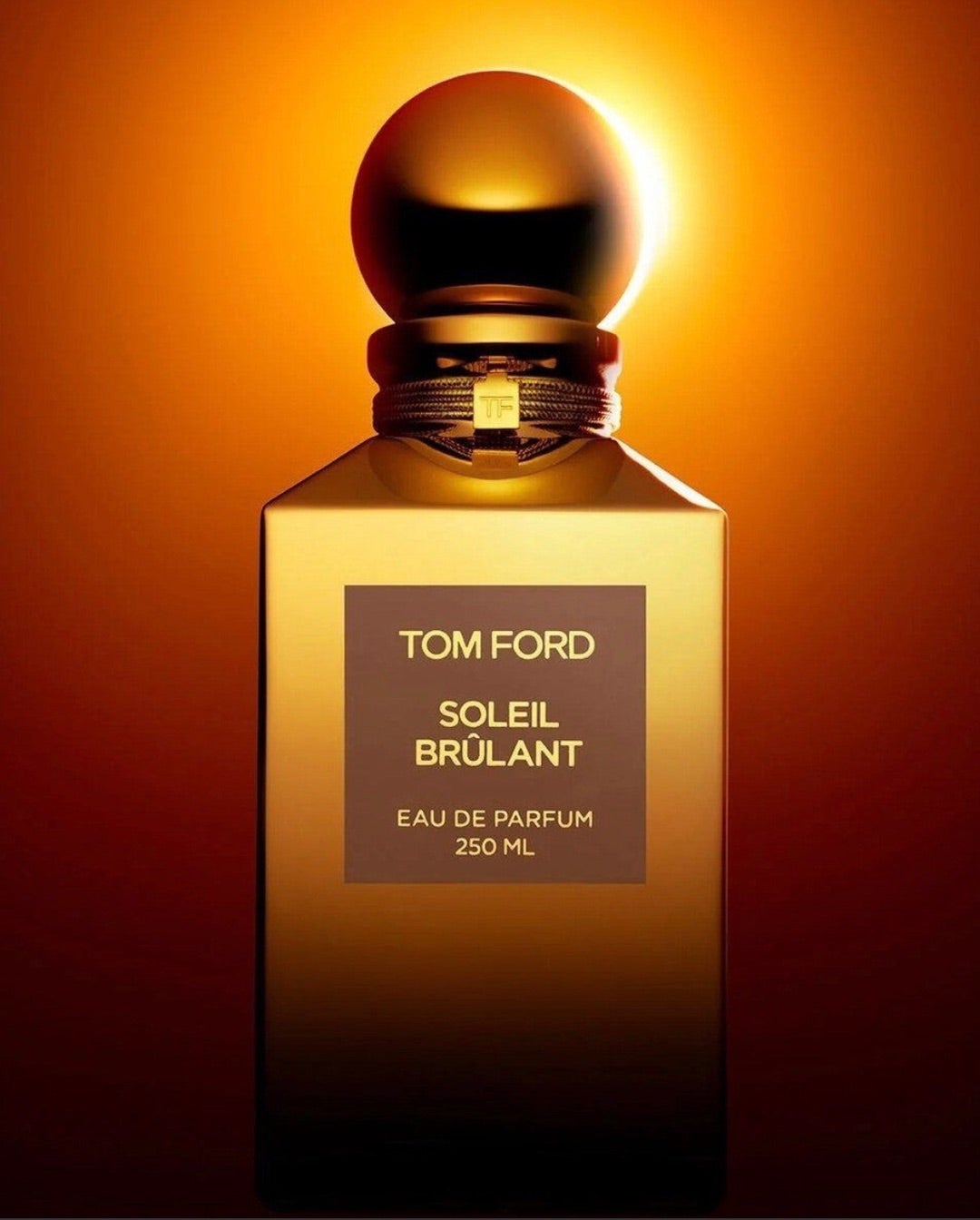 太陽に焦がれる肌 香水レビュー ソレイユブルロン トムフォード | 香水