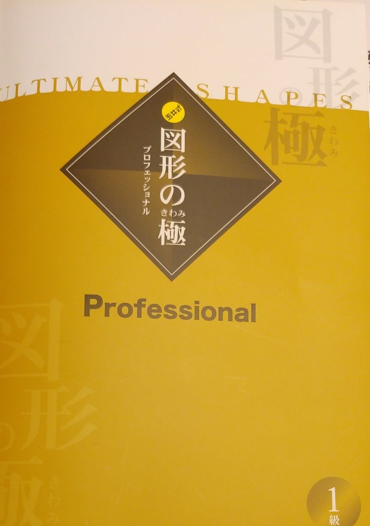 図形の極1級 | ieyasumamaのブログ