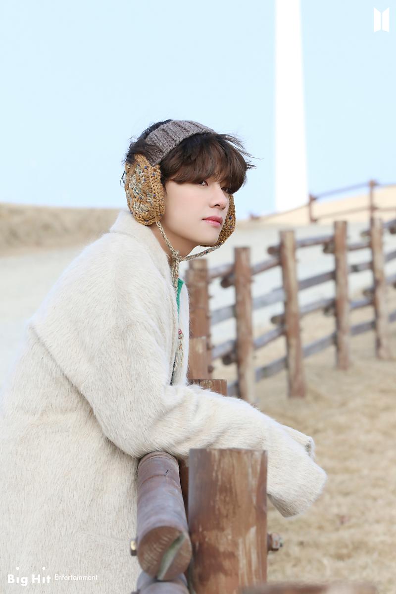 BTS ウィンターパッケージ 2020 テテ V ランダムのみ BTS WINTER 0