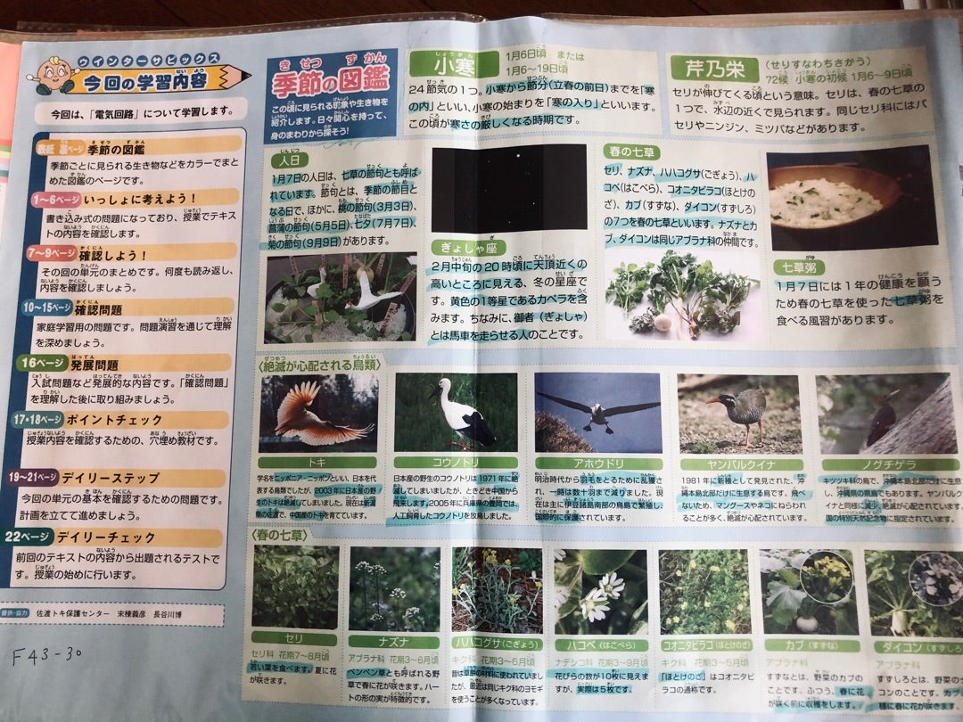 HYサピックス＊デイリーサピックス＊4年＊理科／全36回完全版 HY