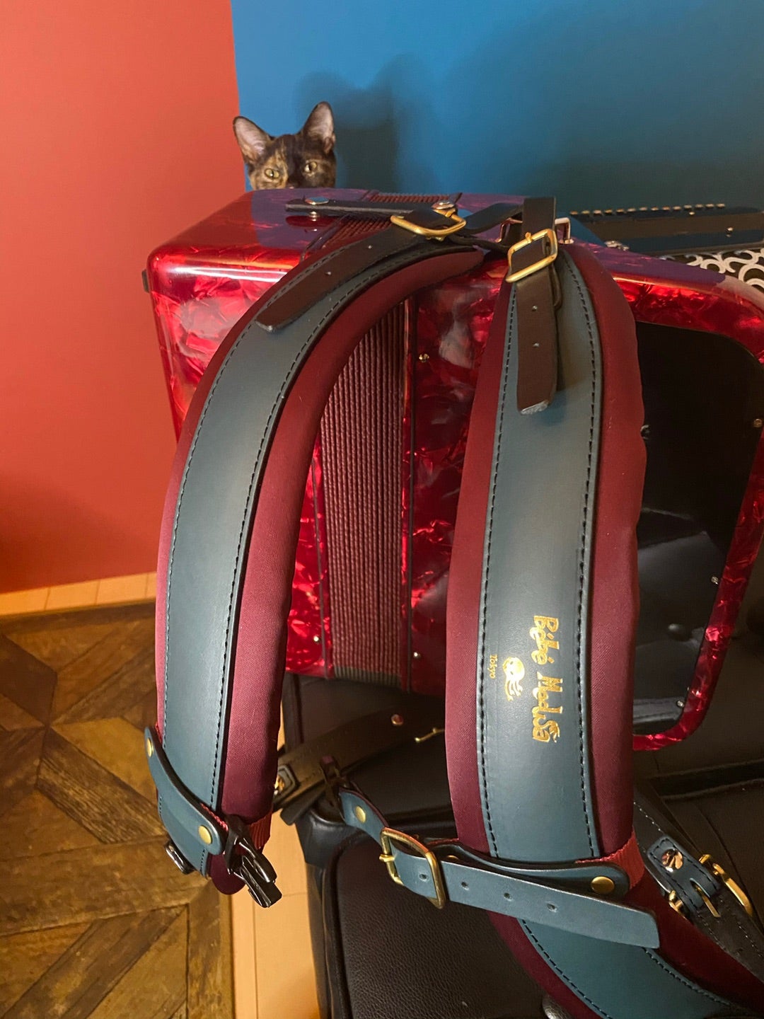 3/10発売開始 | SUTTOKO-DOKKOI