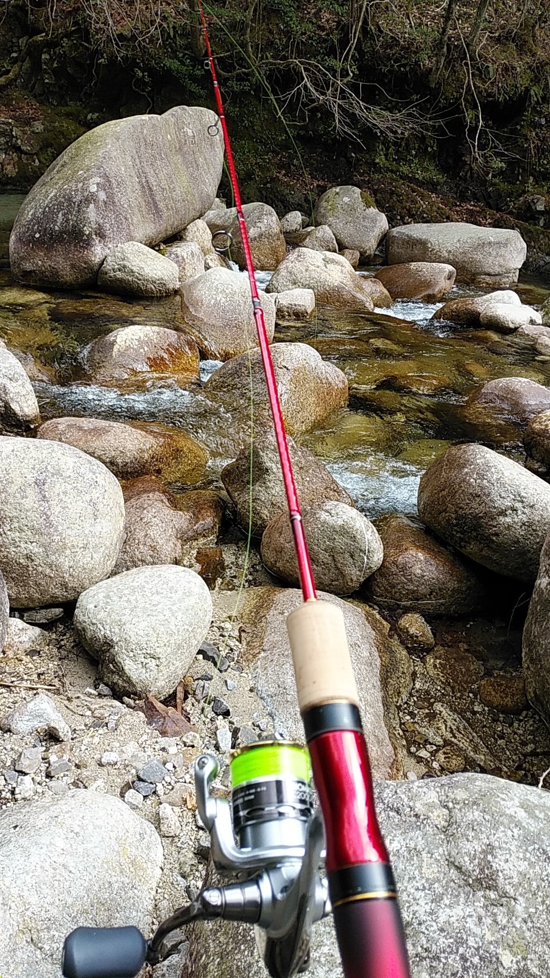 ワールドシャウラテクニカルエディションS52UL-3/F ＝シマノ